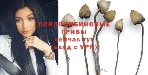 амф Верхний Тагил
