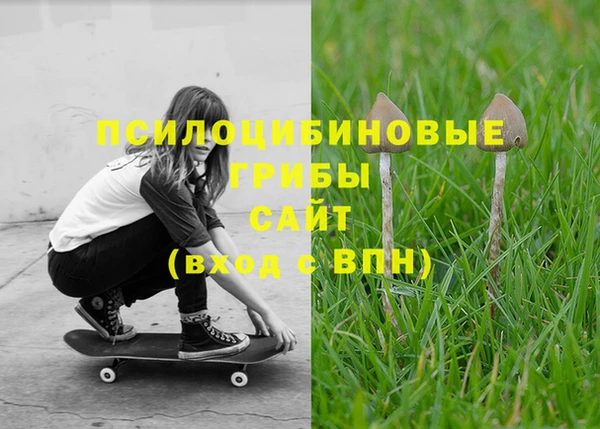 винт Верея