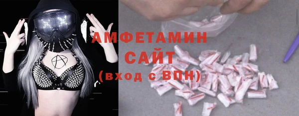 амф Верхний Тагил