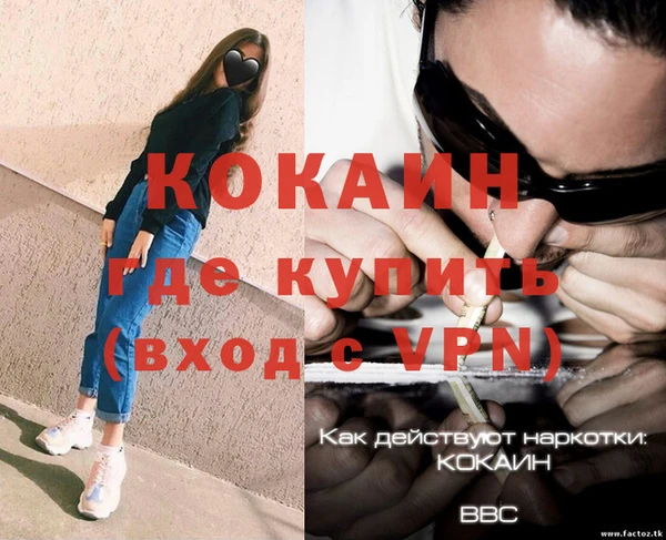 винт Верея