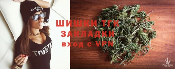 винт Верея