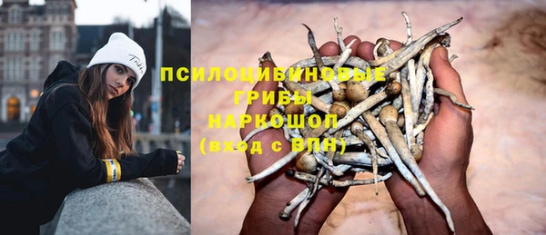 амф Верхний Тагил
