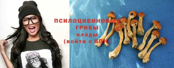 амф Верхний Тагил